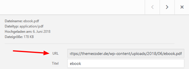WordPress Mediathek Datei-URL